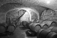 The property Edgard Dufes successors cellars