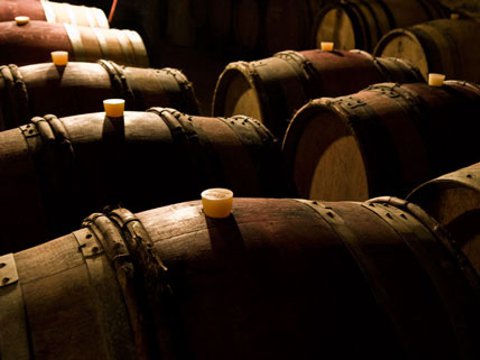 Bodegas