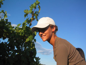 vignes