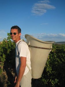 vignes
