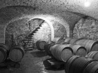 Bodegas Bodegas