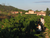 Cosecha en Langlade Cosecha en Langlade